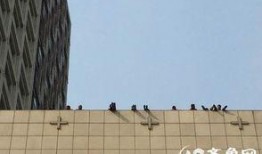 济南楼顶爆料事件最新,高空惊魂，真相背后引关注